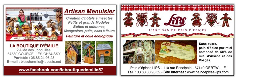 Pain d'épices lips gertwiller miel à 50%