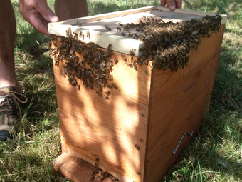 Espoir qui se conjugue avec la province et se déploie au sein de la nature