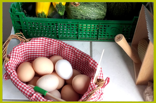 Race de poule domestique française