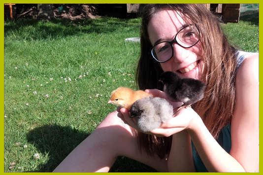 Petits poussins lilou