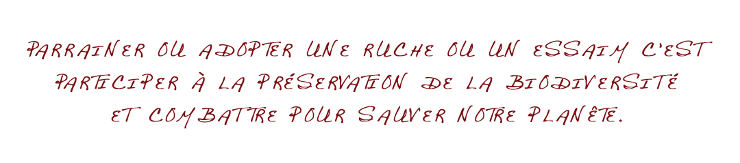Comment aller à Bussang