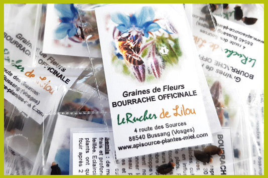 Notre culture de plante